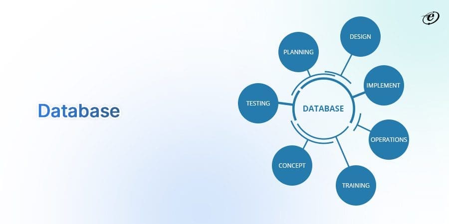 ASP.NET vs. PHP: Which Framework Suits Your Project? 18 Database Support
