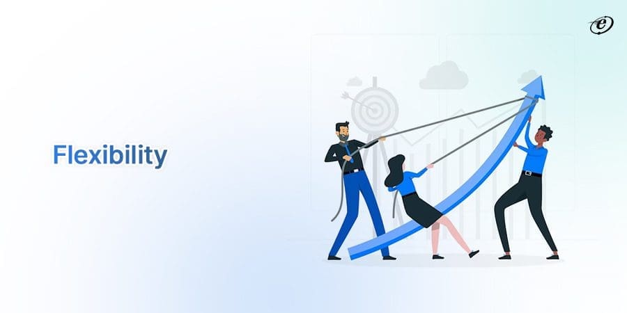 ASP.NET vs. PHP: Which Framework Suits Your Project? 19 Flexibility