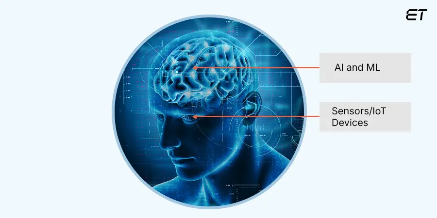 Why Ambient Intelligence Is Impossible to Ignore? 3 The Typical Components of AmI