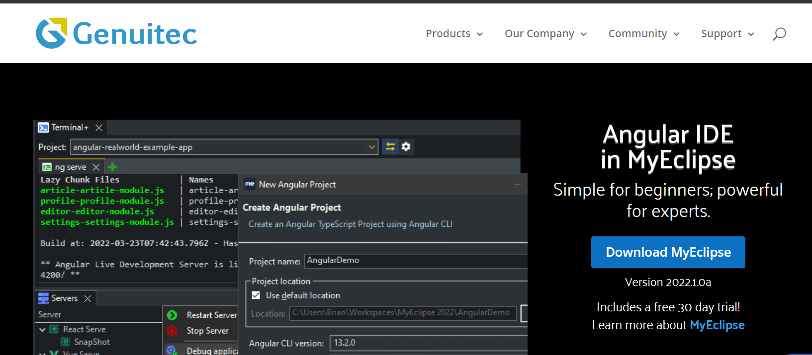 Top 10 AngularJS Development Tools Developers must use in 2026 9 Angular IDE