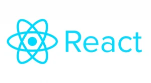Introduction of ViteJS: A Detailed Guide to Fast Development 9 react