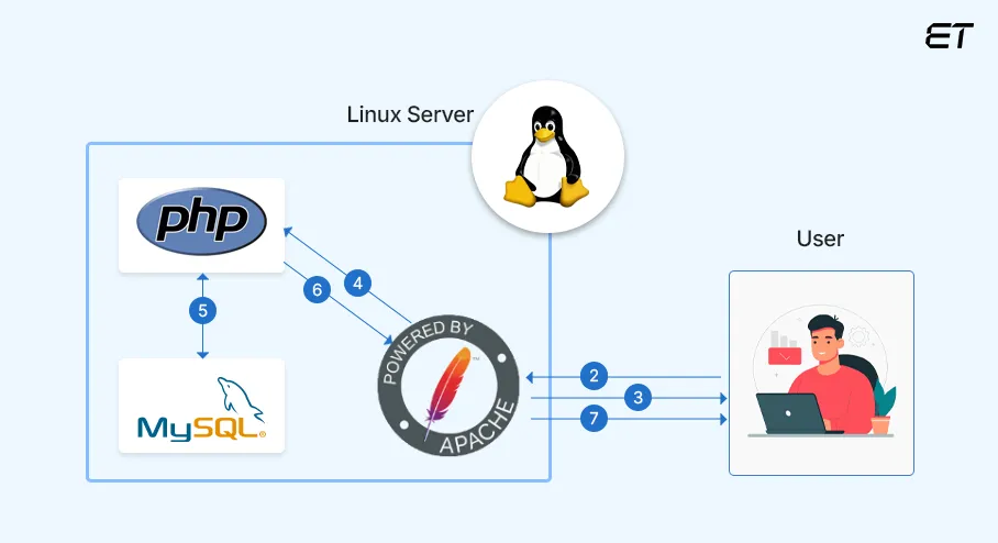 Linux Server