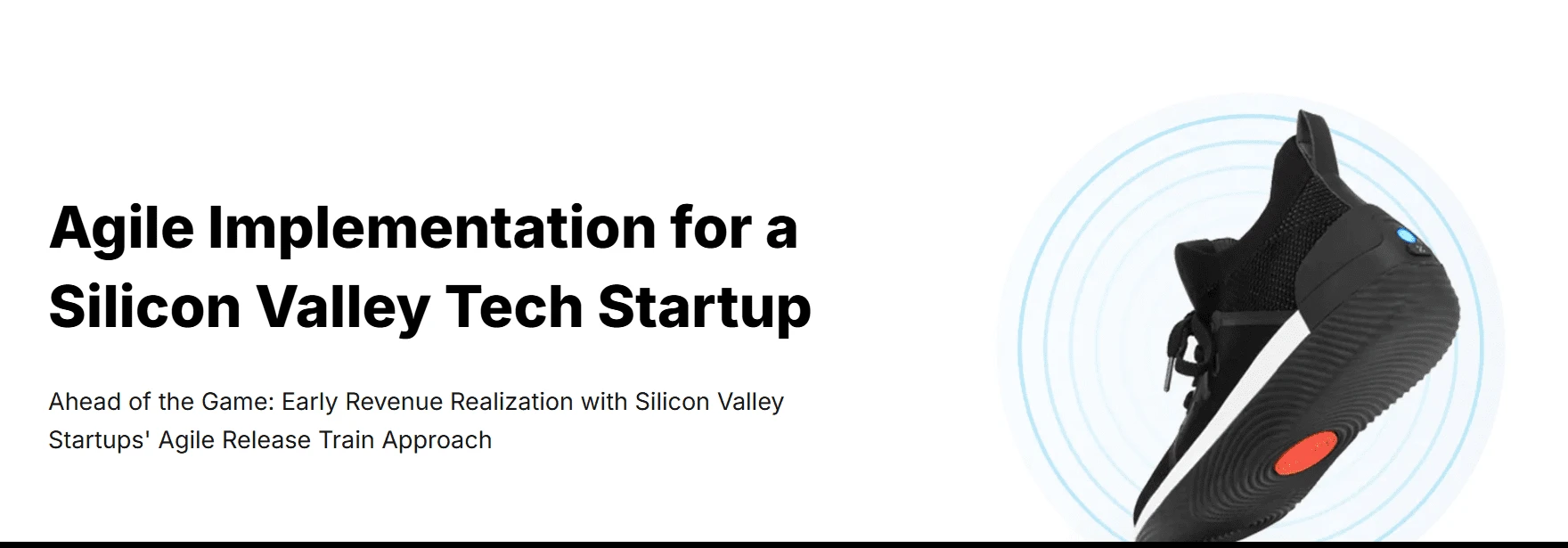 Agile Implementation for a Silicon Valley Tech Startup