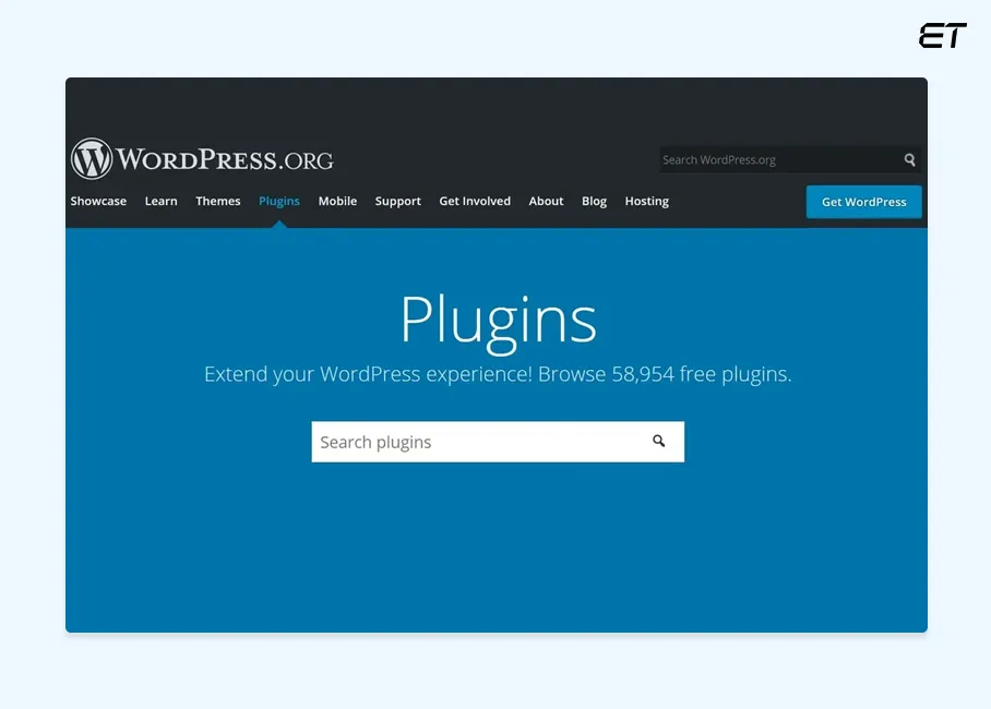 WordPress Plugin & Extension Support